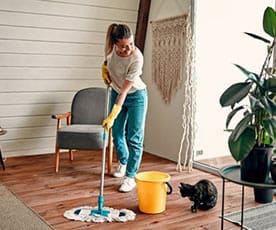 Hardwood Floor Care